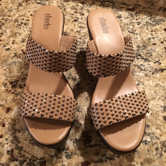 charles by charles david shoes